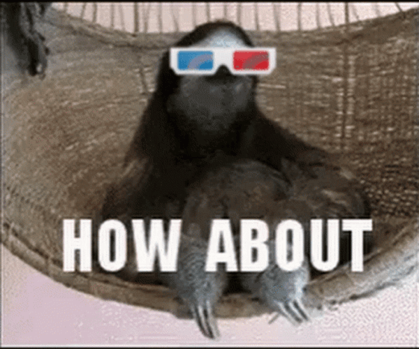 How About No Funny Sloth GIF