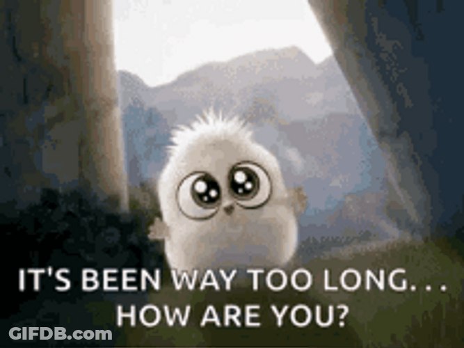 How Are You Cute I'm Coming Running For You GIF