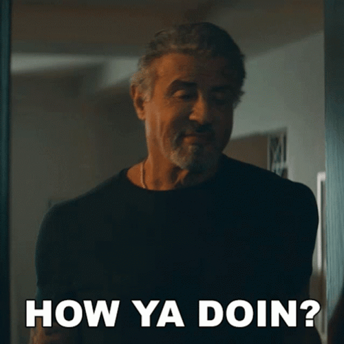 How Are You Doing Sylvester Stallone GIF