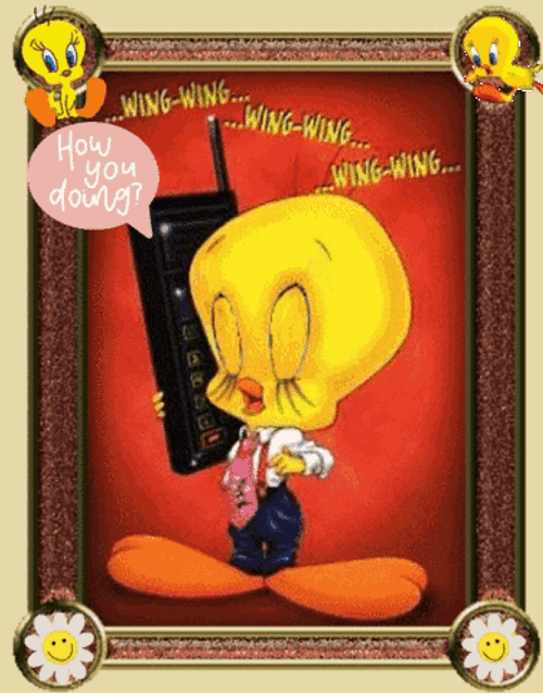How Are You Doing Tweety GIF