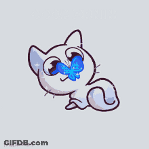 How Are You Good Morning Cat & Butterfly GIF