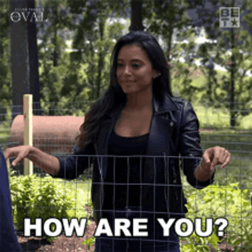 How Are You Lady Asking GIF