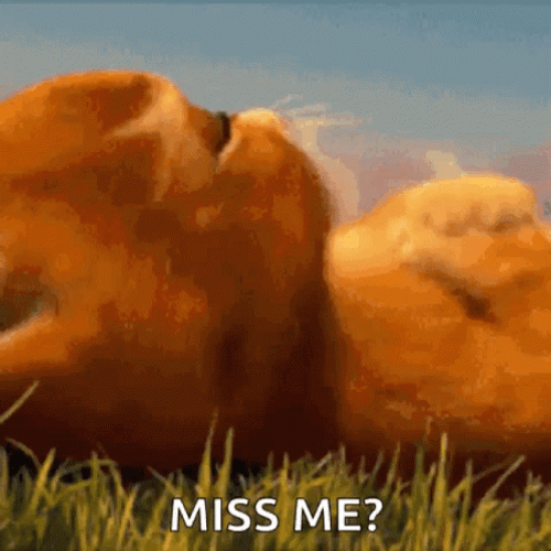 How Could I Not Miss You GIF