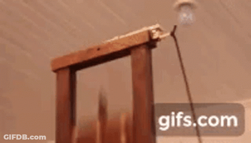 How Guillotine Works GIF