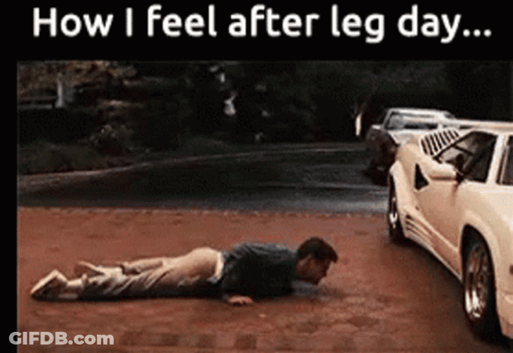 How I Feel After Leg Day GIF