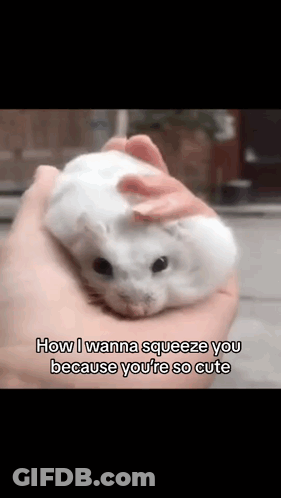 How I Wanna Squeeze You Cute GIF