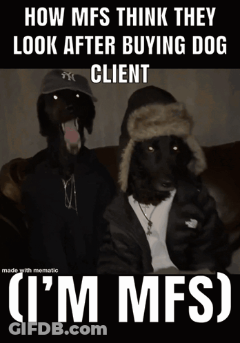How Mfs Think After Buying Dog Client GIF