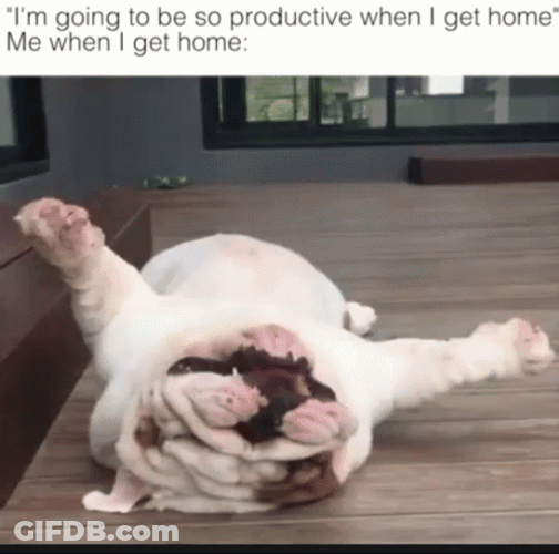 How Procrastination Looks Like GIF