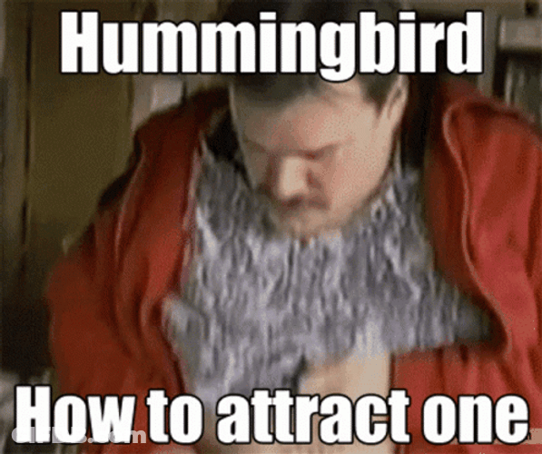 How To Attract Hummingbird GIF