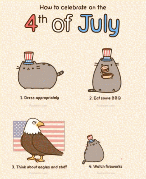How To Celebrate July 4Th GIF