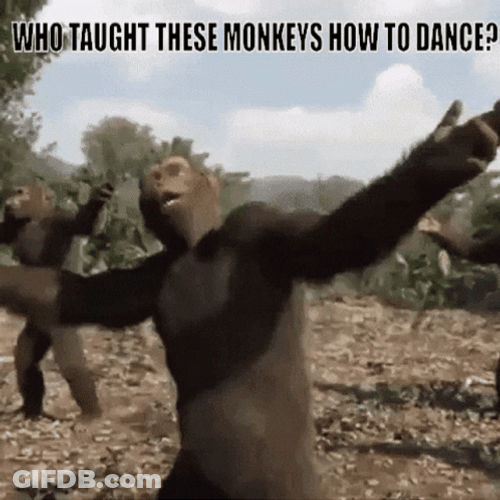 How To Dance Monkey Dance GIF