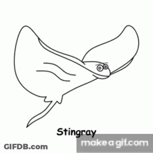 How To Draw A Stingray Step By Step For Kids GIF