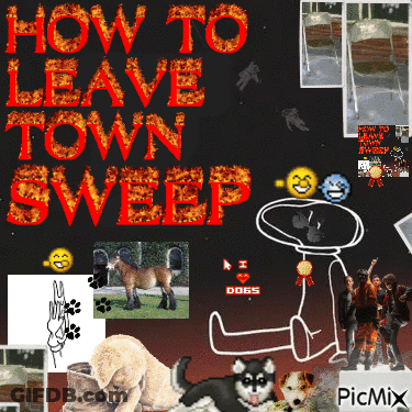 How To Leave Town Sweep Collage GIF