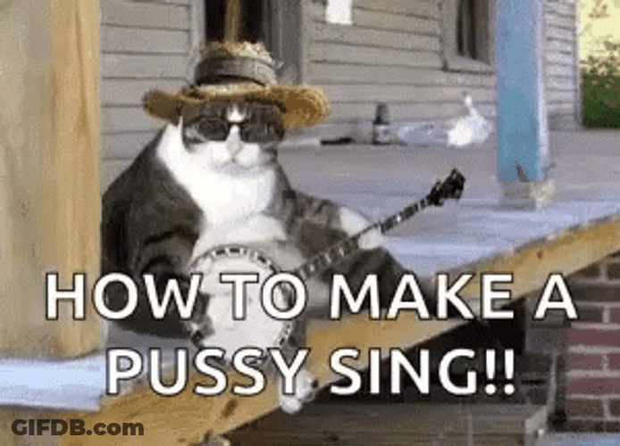 How To Make Purr Sing GIF
