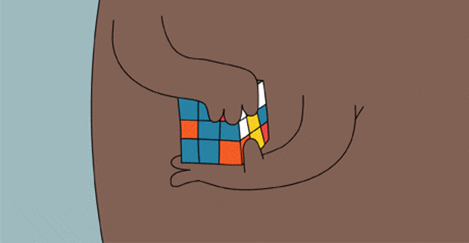 How To Solve Rubik's Cube Brown Bear GIF