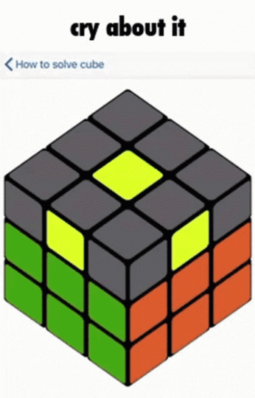 How To Solve Rubik's Cube Cry About It GIF