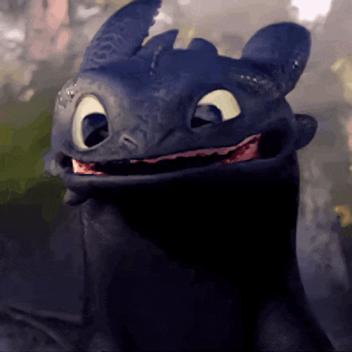 How To Train Your Dragon Toothless GIF