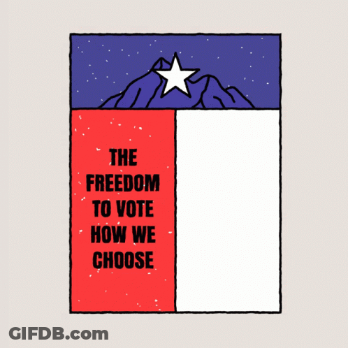 How To Turn Your Vote Into Hundreds Of Votes GIF