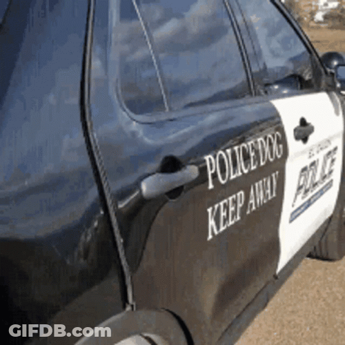 Howdy Police Dog With Hat GIF