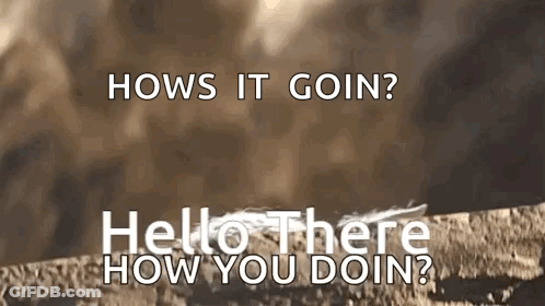 Hows It Goin Hello How You Doin Brown GIF