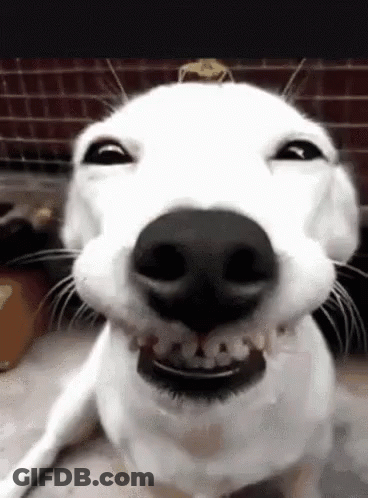 Hows It Goin Hello There How You Doin GIF