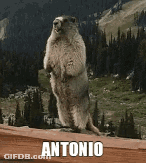 Hrebak GIF