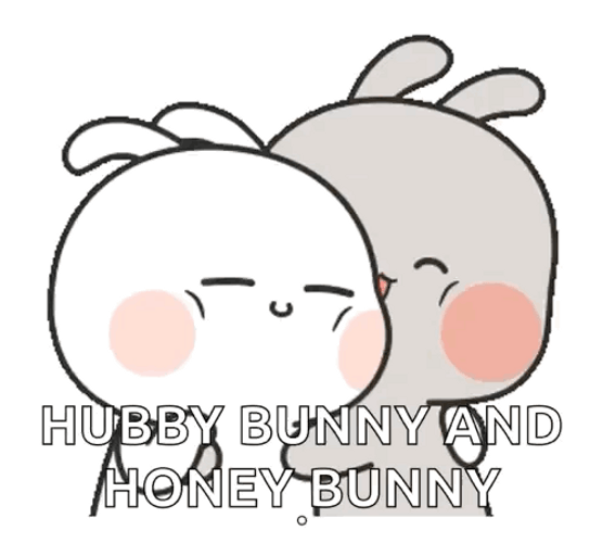 Hubby Bunny And Honey Bunny GIF