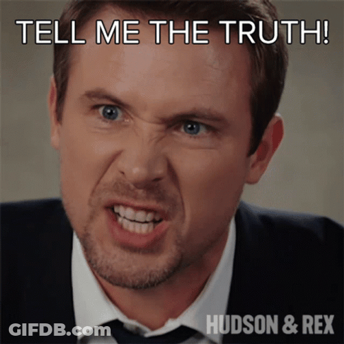 Hudson And Rex Tell Me The Truth GIF