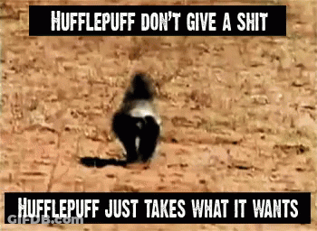 Hufflepuff GIF