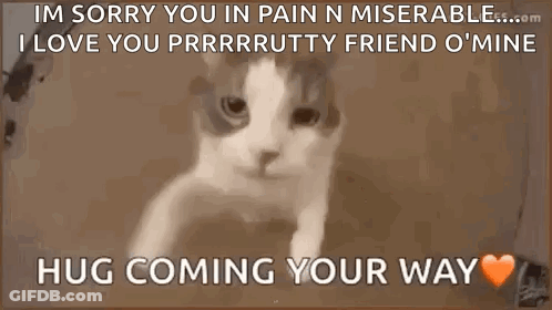 Hug Love GIF