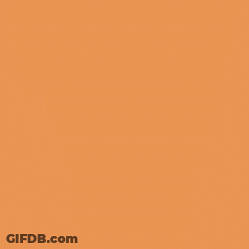 Hug Your Cat Day Bunch Of Cats GIF