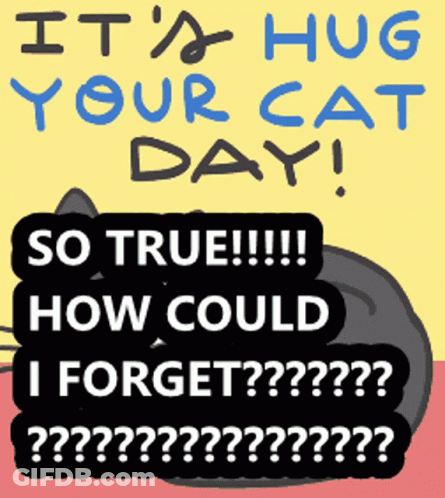 Hug Your Cat Day Poster GIF
