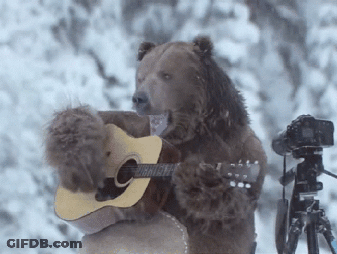 Huge Bear Playing Guitar GIF
