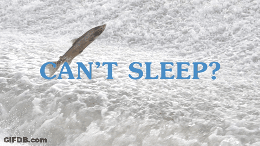 Huge Fish Floating Cant Sleep GIF