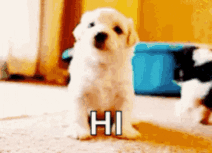 Huggie GIF