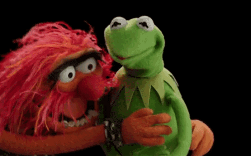 Hugging Animal Muppet Kermit GIF