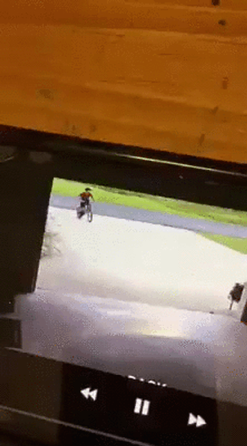 Hugging Dog CCTV Footage GIF