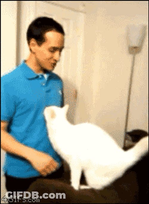 Hugging White Cat GIF