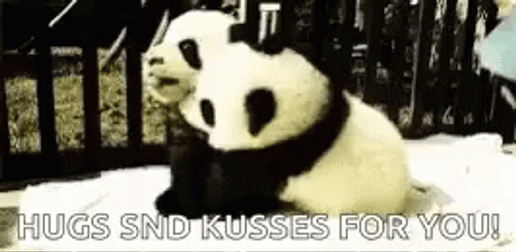 Hugs And Kisses For You GIF