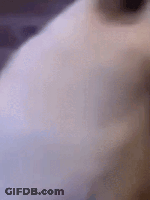 Huh Cat Meme Nod GIF