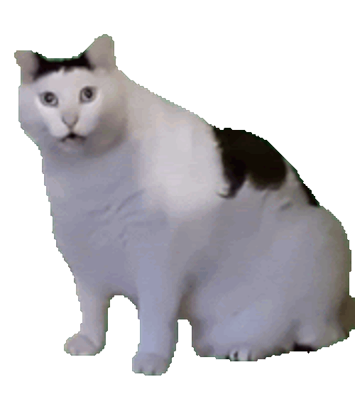 Huh Cat Sticker GIF
