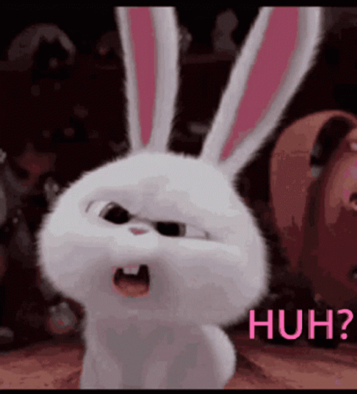 Huh Meme Cute Snowball GIF