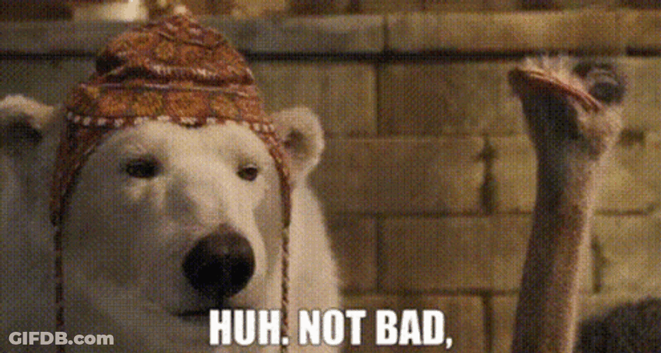 Huh Not Bad Dog And Ostrich GIF