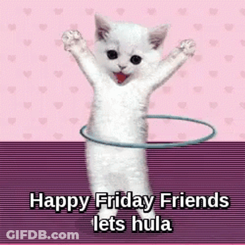 Hula Cat Animated Friday GIF