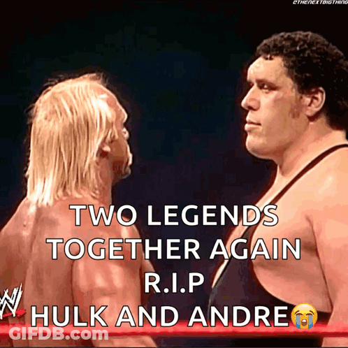 Hulk And Andrew Are Two Legends Together Again R.i.p Hulk And Andrew GIF