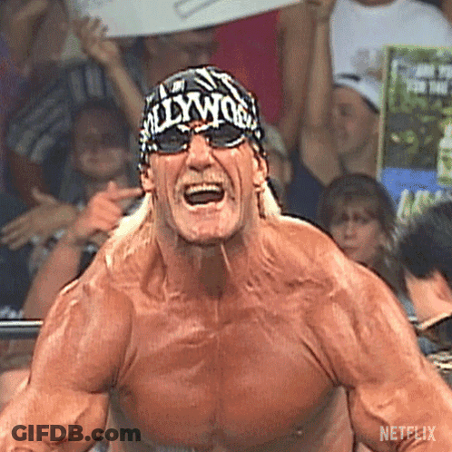 Hulk Hogan Bandana Saying Hollywood GIF