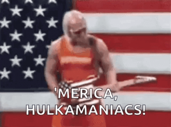 Hulk Hogan Brother America Hulkamaniacs GIF