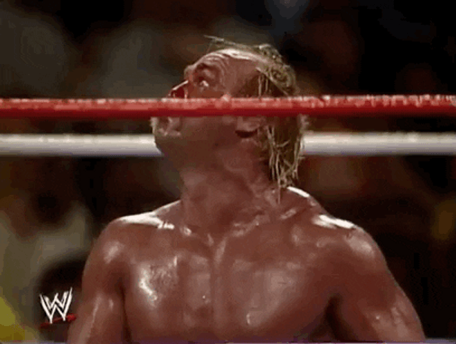 Hulk Hogan Brother Deep Breaths GIF