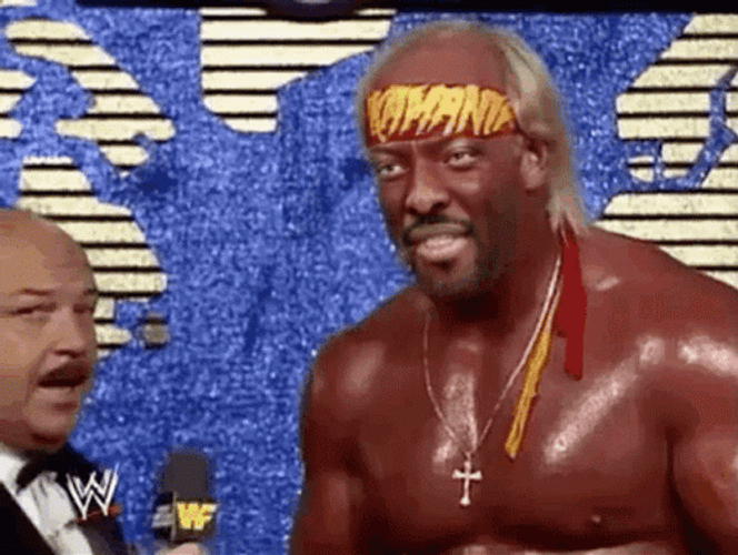 Hulk Hogan Brother Funny Face App GIF
