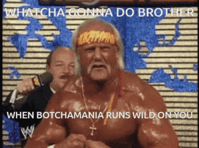 Hulk Hogan Brother When Botchamania Runs Wild GIF